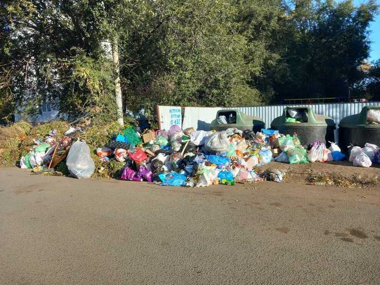 В Оренбургской области активно горит мусор