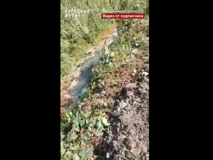 Под воронежской Верхней Хавой загрязняется отходами пруд Кирпичный