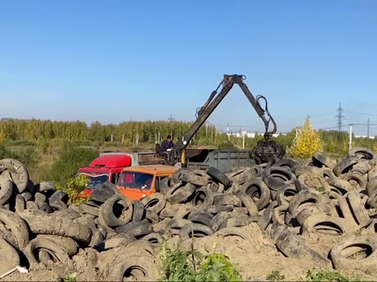 Свалку из 10 тысяч автопокрышек ликвидируют в Новосибирске