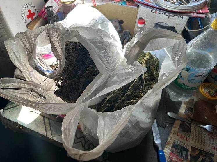 У пенсионерки в Ясиноватском округе нашли наркотические средства