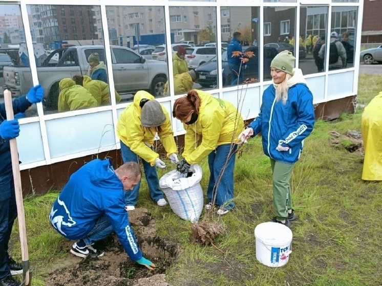 В Новом Уренгое с чаепитием и мастер-классом высадили деревья