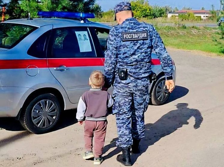 Потерялся в парке: в Коломне нашли пропавшего малыша