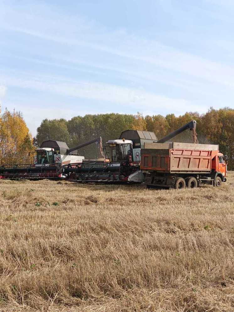 В Томской области убрали почти 58 процентов урожая