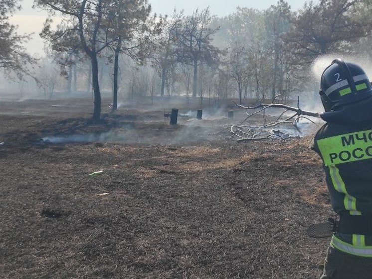 В Херсонской области потушили 12 пожаров за сутки