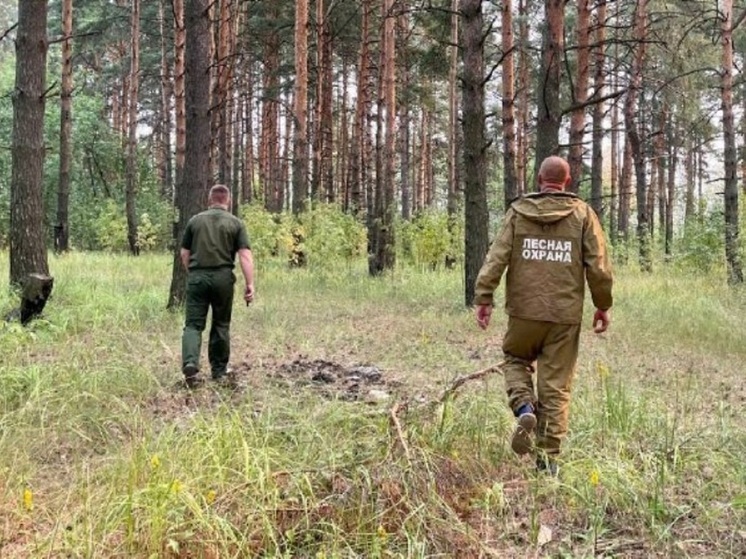 В ближайшие дни в Костромской области будет холодно и пожароопасно