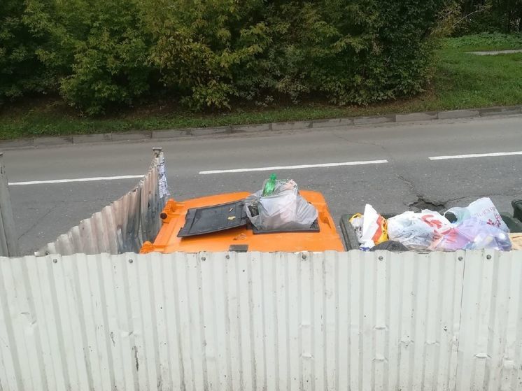 Мусорные площадки в Калуге оснастят видеокамерами