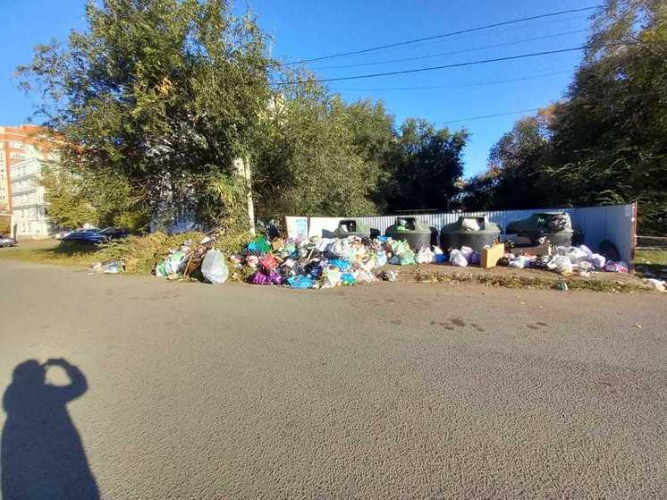 Оренбург продолжает утопать в мусоре