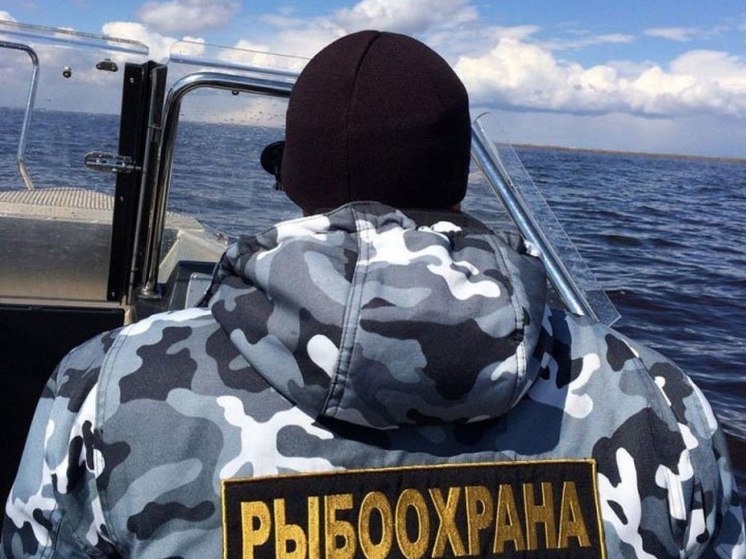 С начала года на Сахалине и Курилах у браконьеров изъяли 2,5 тонны биоресурсов