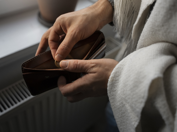 В ожидании прибыли женщина из Брянска осталась без 490 000 рублей