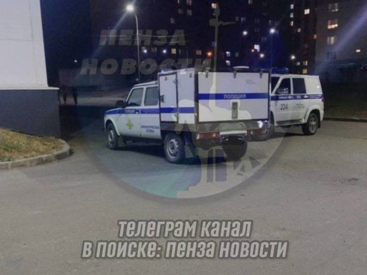 В Пензе вызвали саперов для исследования брошенной сумки