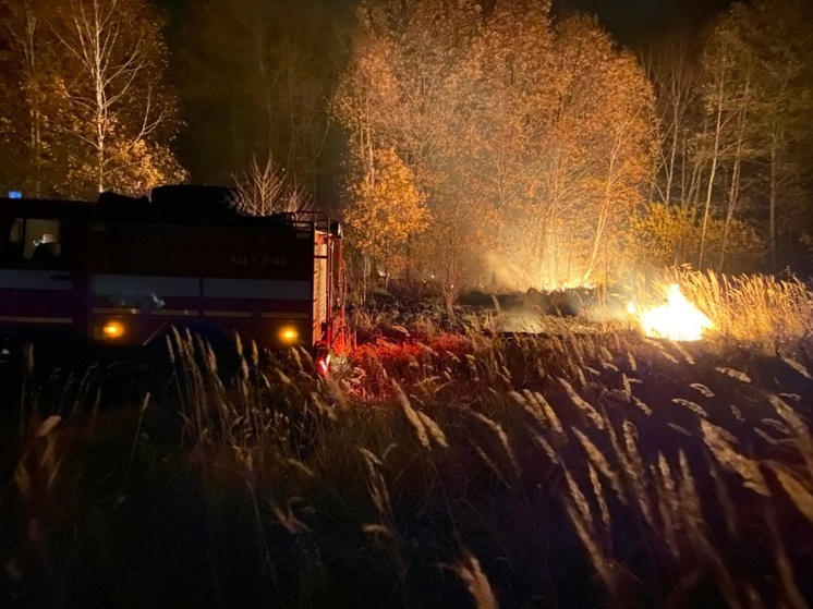 В Пензенской области ликвидировали лесной пожар площадью большее 2 гектаров