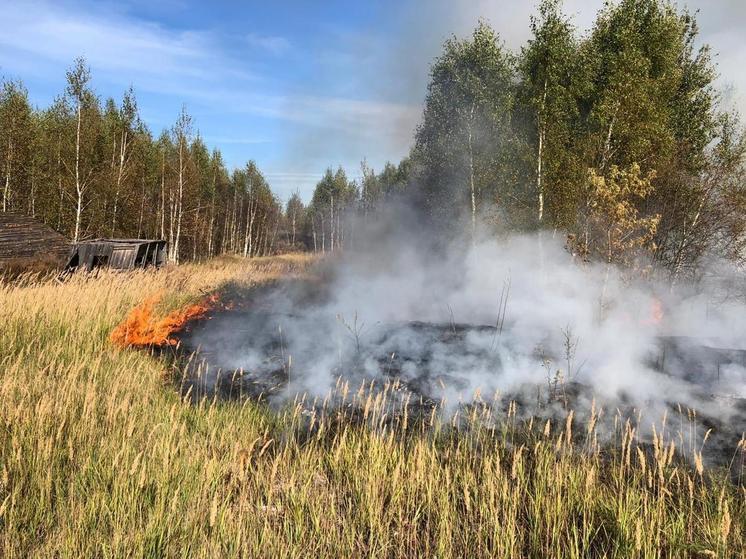 Тушили 3 часа: лесной пожар вспыхнул в округе Луховицы