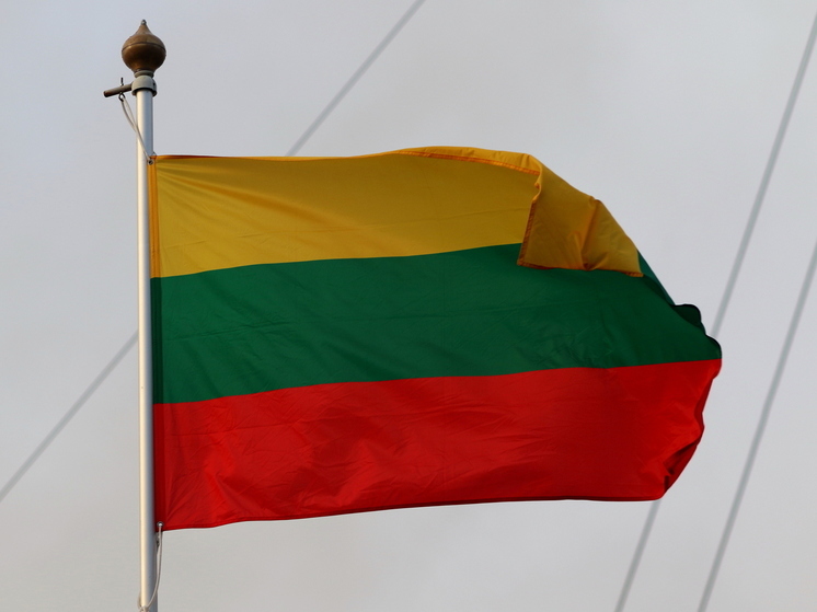 В Департаменте пожарной охраны Литвы за пророссийские взгляды уволили офицеров