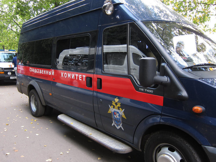Россиянку задержали за убийство двух внуков