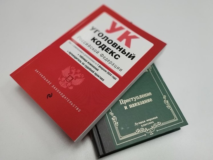 В Великом Новгороде осудили угонщика, который на машине протаранил магазин