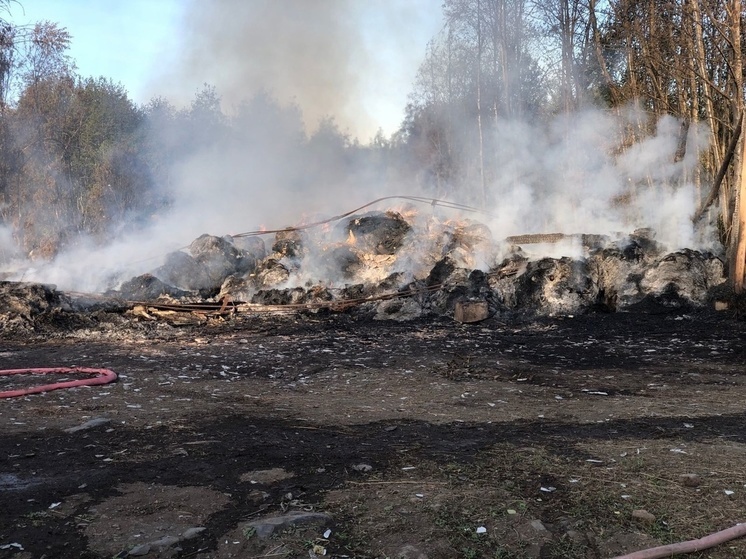 Более 100 тонн сена сгорело в Медвежьегорском районе