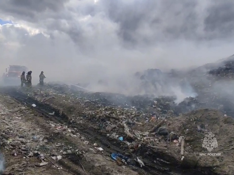 Возле Кургана пятые сутки горит мусорный полигон ТБО