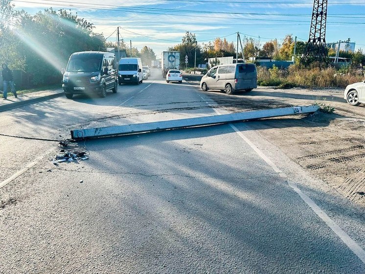 В Новосибирской области число аварий на ЛЭП из-за постороннего вмешательства выросло на 42%