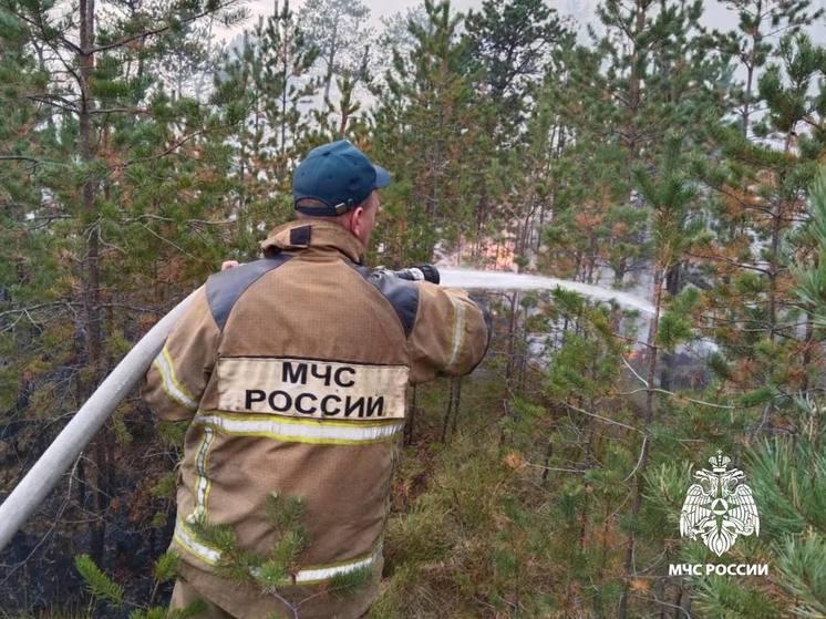 Пожарные тушат возгорание в лесу рядом с поселком под Тверью