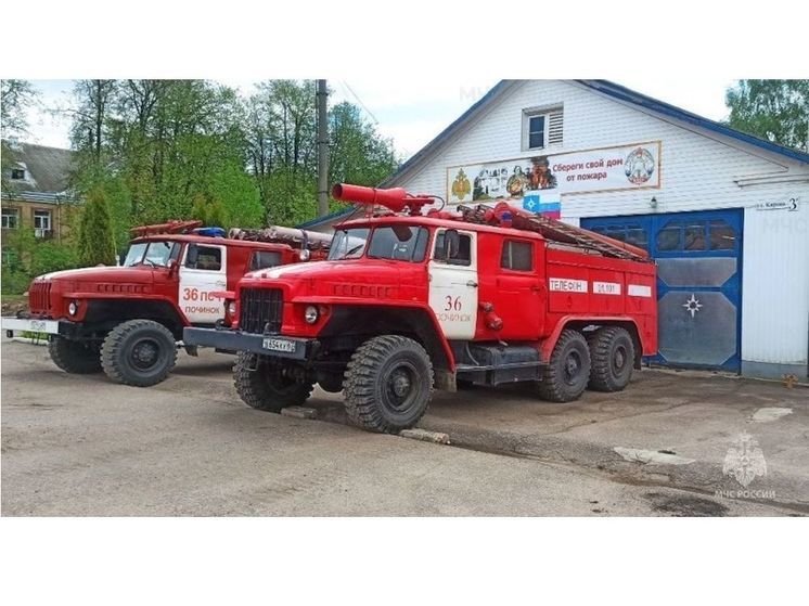 В Починковском районе на пожаре погибла  пенсионерка