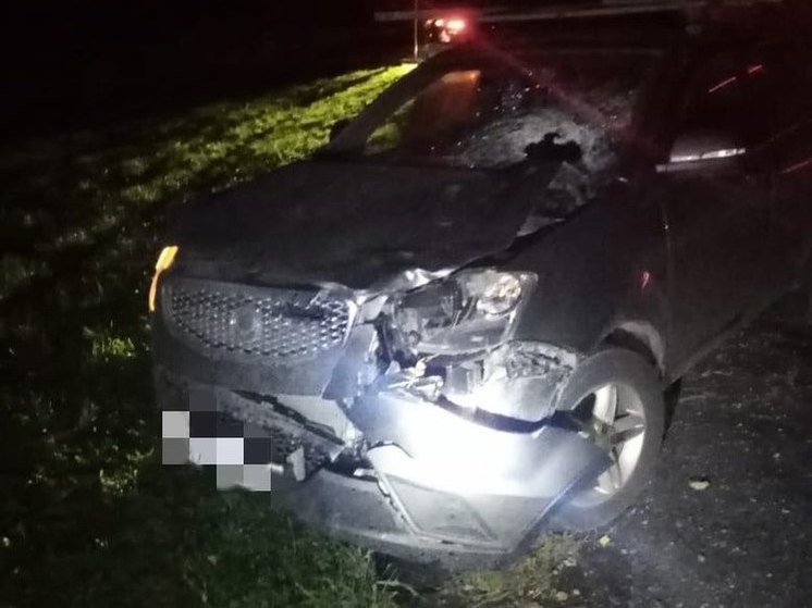 В Черепановском районе НСО ночью насмерть сбили 43-летнего пешехода