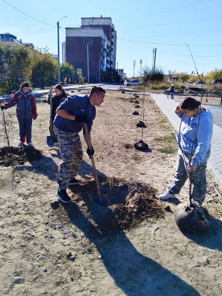 В Бурятии студенты помогают озеленению Улан-Удэ