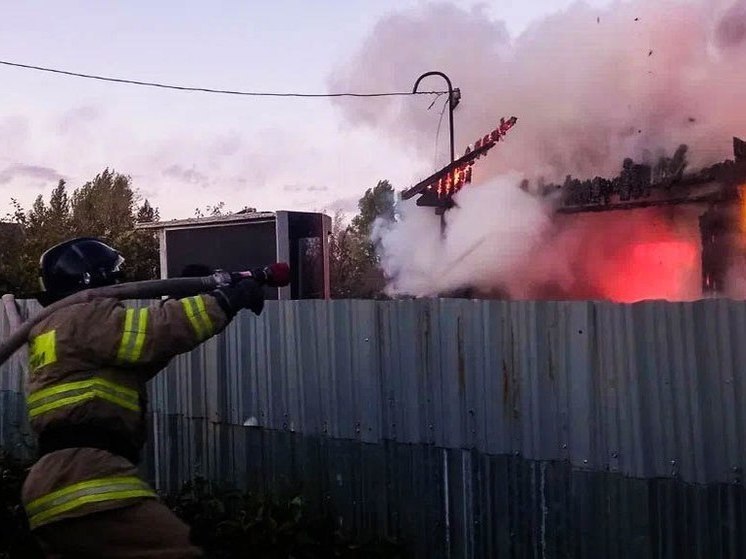 На пожаре в омском садоводстве погибли мужчина и женщина