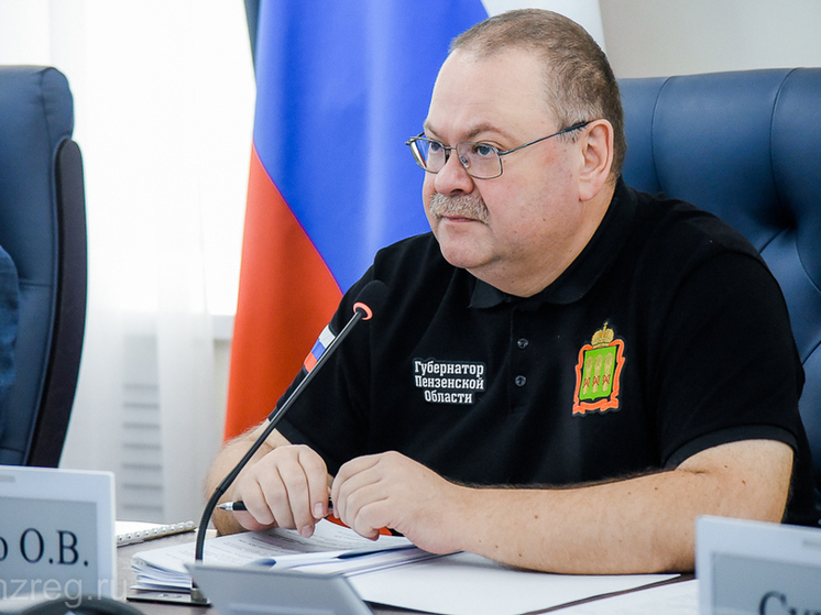 Олег Мельниченко потребовал организовать ежедневные рейды для проверки чистоты улиц