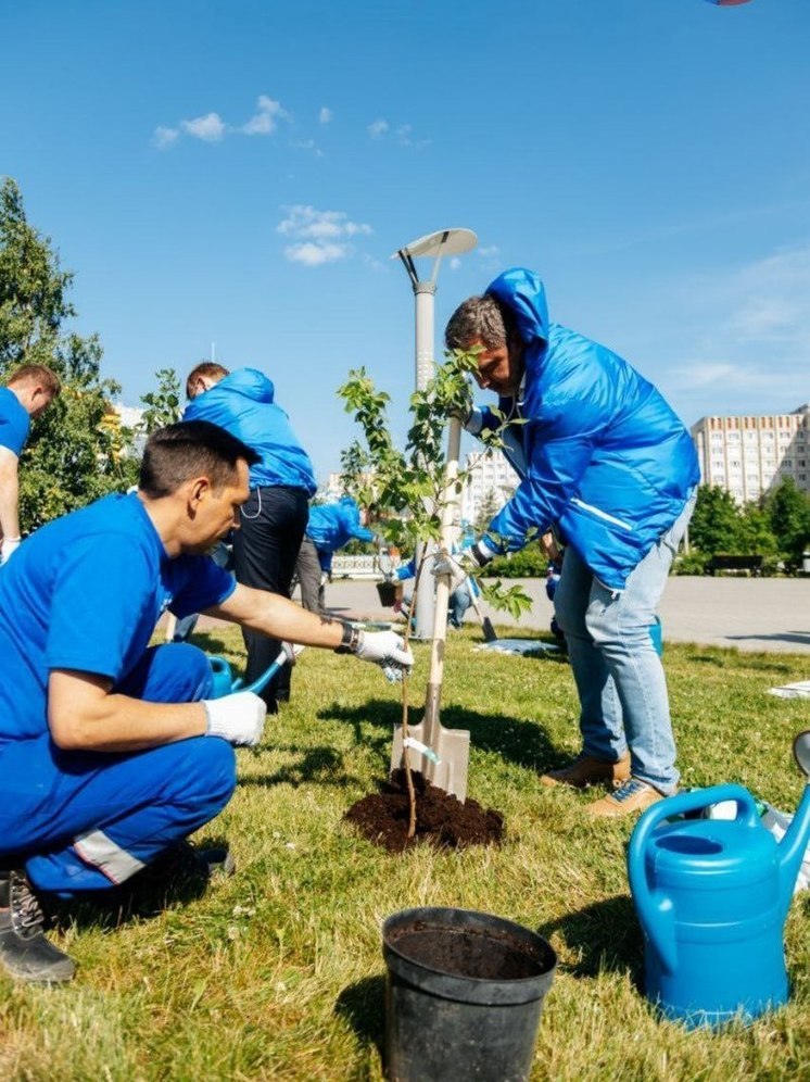 В Ноябрьске за сезон высадили больше 5 тысяч деревьев и кустов