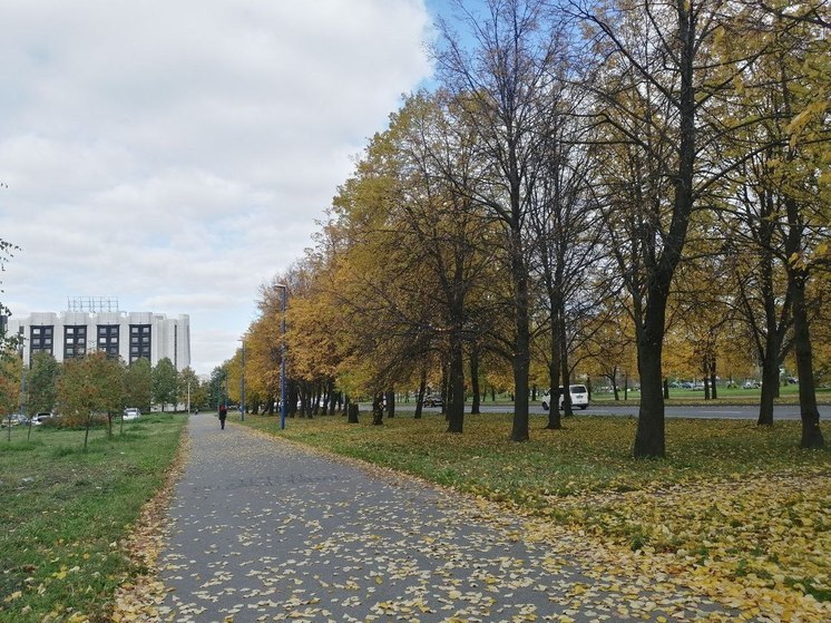 В МЧС Петербурга предупредили об ухудшении погоды в городе