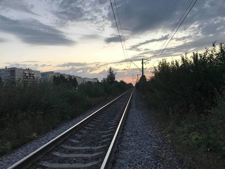 В Минтрансе назвали стоимость билета на ВСМ Москва – Петербург