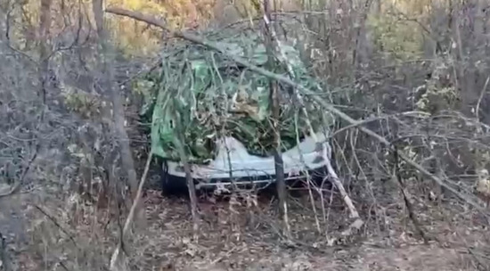 Похищенную в Саратовской области предпринимательницу нашли убитой: видео с места