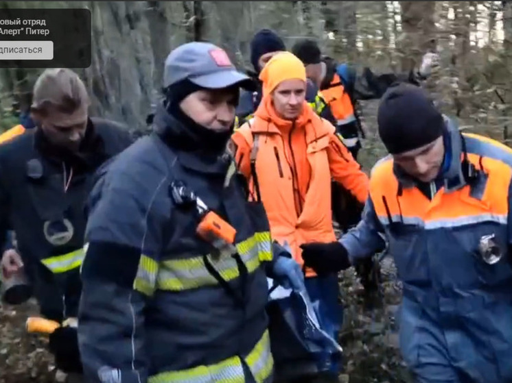 Пропавшего пятилетнего мальчика искали в лесу сутки