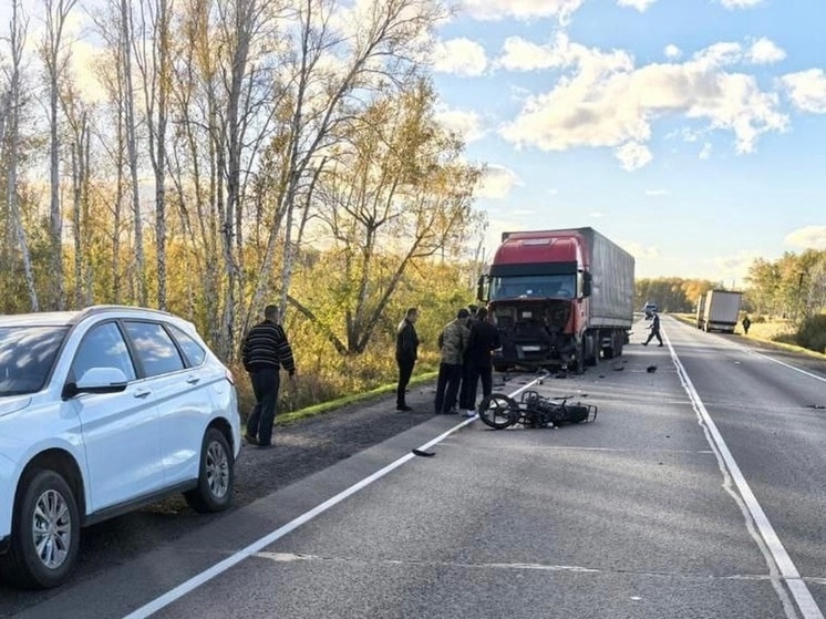 Девушка-подросток погибла под колёсами грузовика на трассе Тюмень-Омск