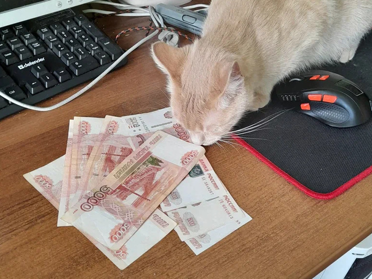 В Новгородской области осудили мужчину, сбывшего подаренную ему фальшивую купюру