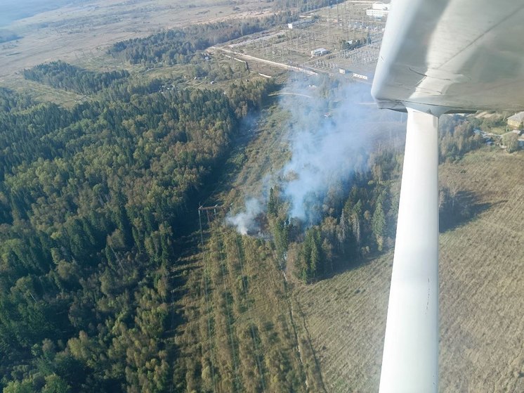 Лесной пожар вспыхнул в Дмитровском округе