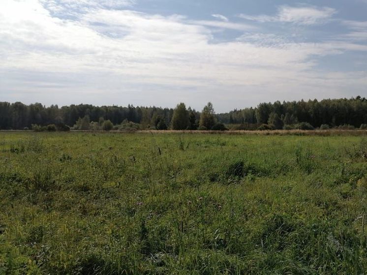 Дождевые тучи появятся в Подмосковье в пятницу во второй половине дня