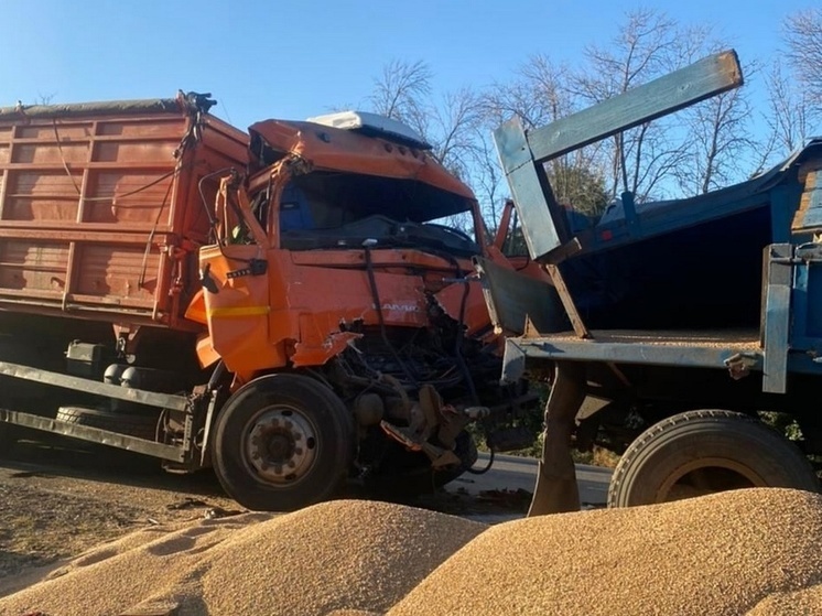 Под Курском в ДТП попал грузовик - есть пострадавшие