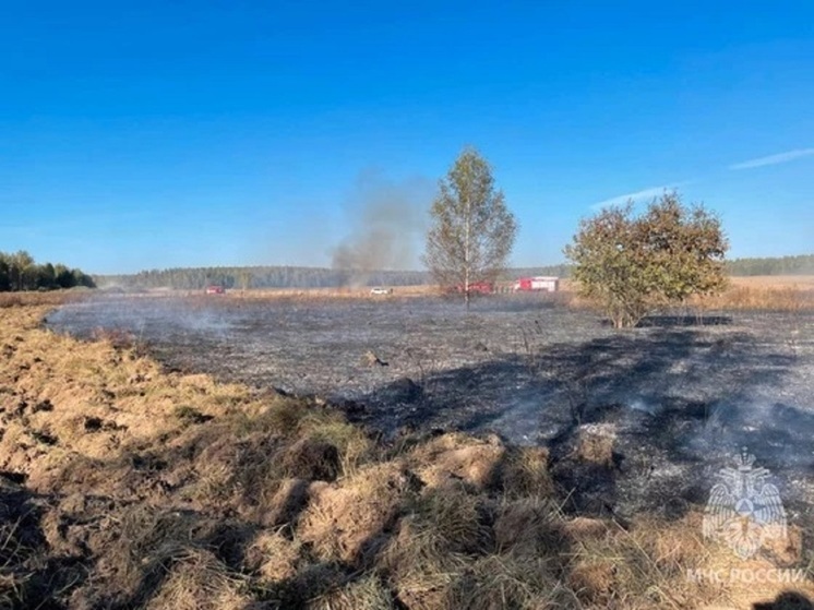 Во Владимирской области опять борются с палом травы