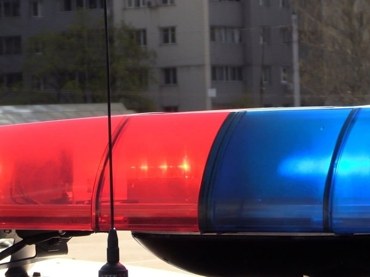 Житель Макеевки задержан на незаконный сбыт оружия