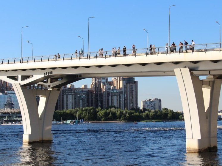 Петербуржцы заметили лося, плывущего в сторону ЦПКиО имени Кирова