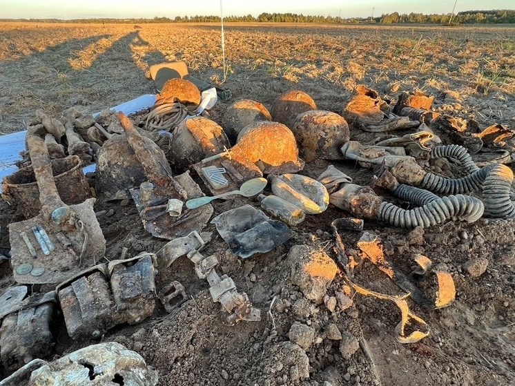 В Тверской области обнаружили останки 24 красноармейцев в полной амуниции