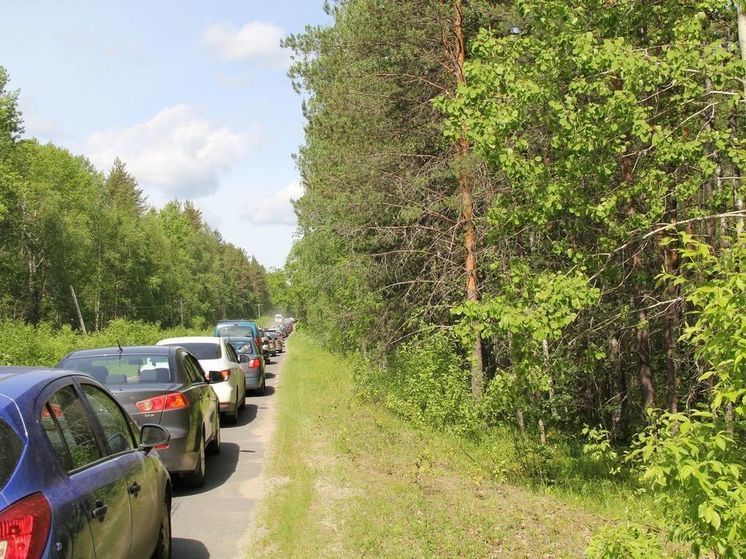 Холмогоровку соединят с Чкаловском новой дорогой – министерство развития инфраструктуры