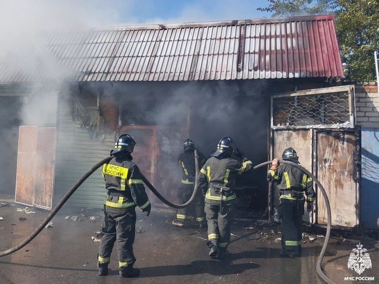 В Мелитополе сгорел легковой автомобиль