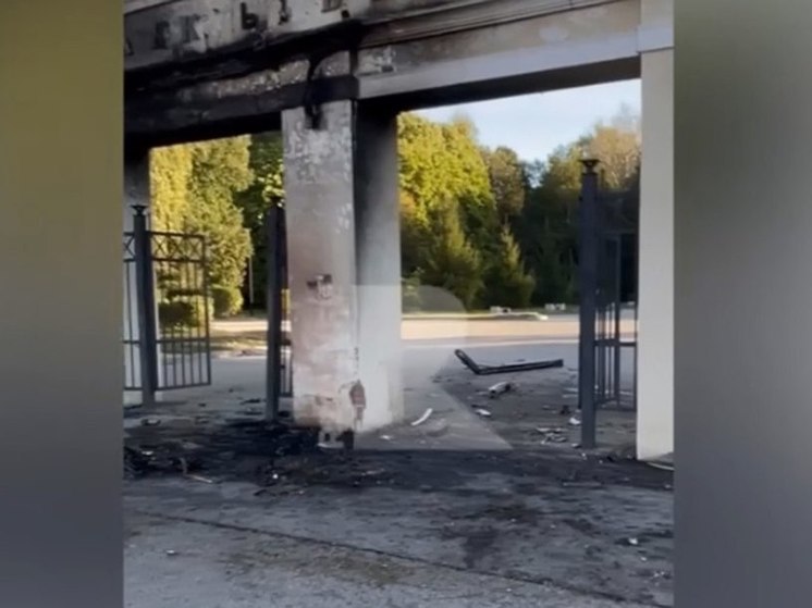 В сети опубликовали видео с места пожара у ЦПКиО