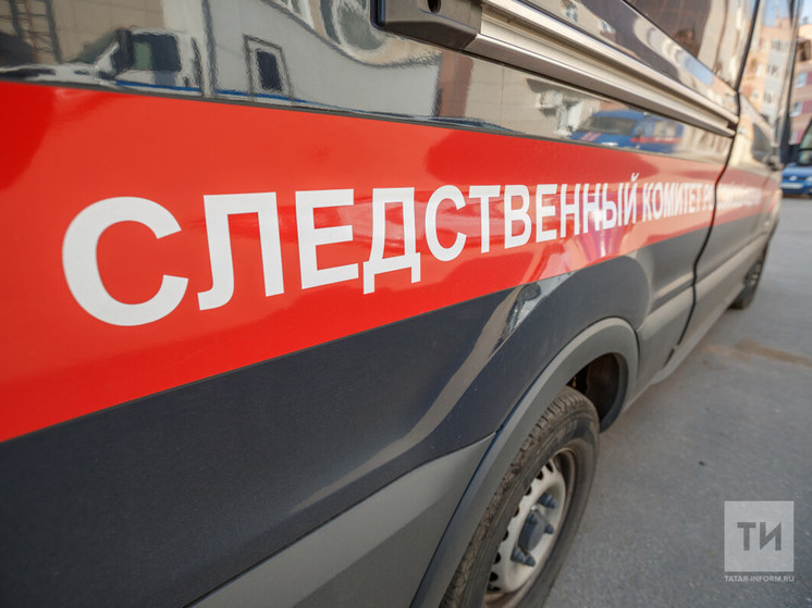 Дело об избиении школьницы расследуется в Нижнекамске