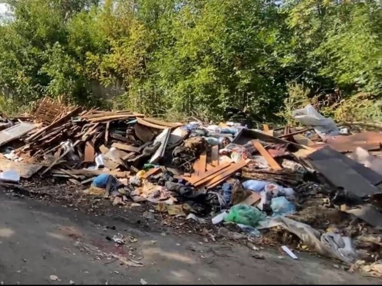 В Орле на улицах убрали мусорные свалки