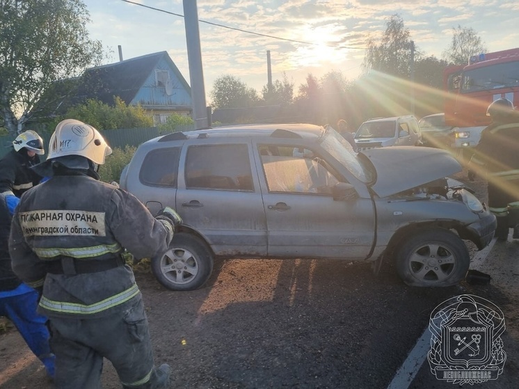 Во Всеволожском районе огонь уничтожил постройки на двух соседних участках в СНТ