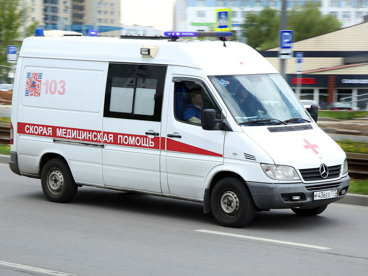 В Санкт-Петербурге пятилетний мальчик распорол живот во время игры во дворе