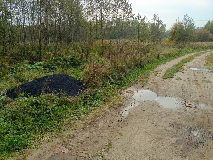 В Тверской области в канаве нашли свежий асфальт